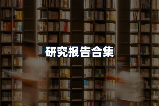 研究报告合集